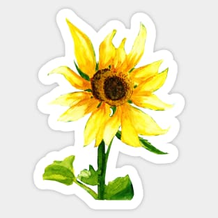 Yellow Sunflower Watercolor Painting Sticker